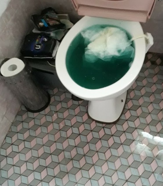 Toilets backed up with toilet paper, and discoloured water.