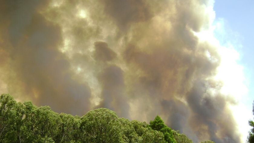 Delburn complex: fires swept through the hills around Boolarra and Mirboo North a week before Black Saturday