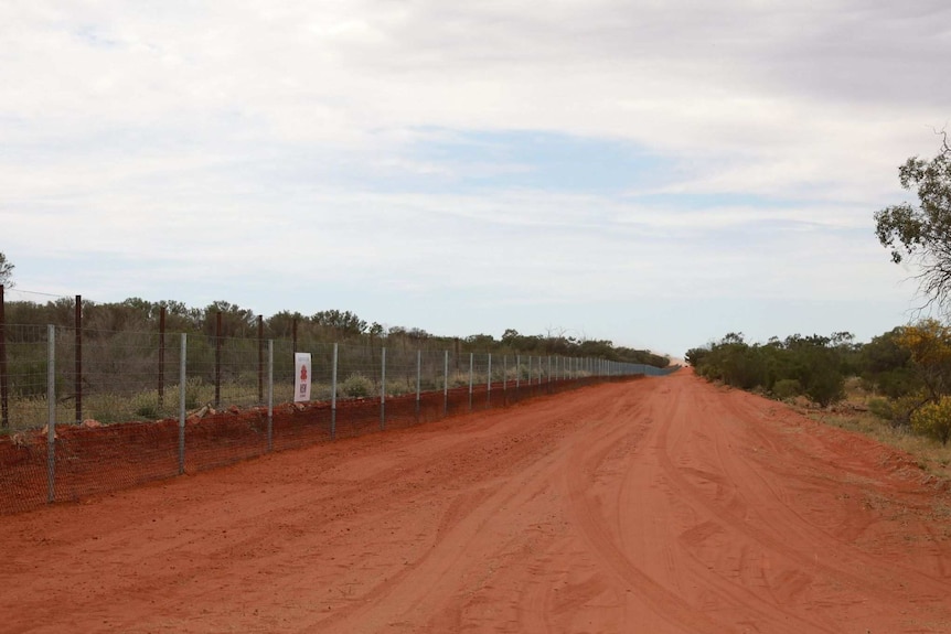 A tall fence near a red dirt road