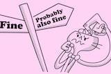 Cartoon character scratching their head in front of a street sign with two decision options: "fine" and "probably also fine".