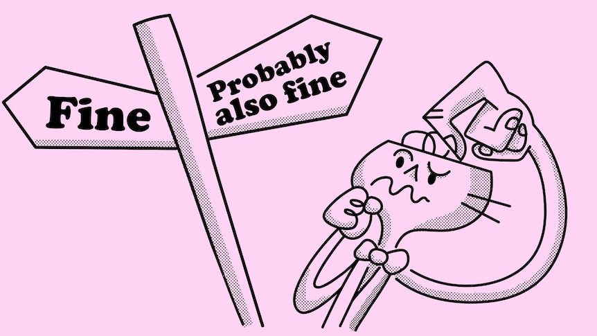 Cartoon character scratching their head in front of a street sign with two decision options: "fine" and "probably also fine".