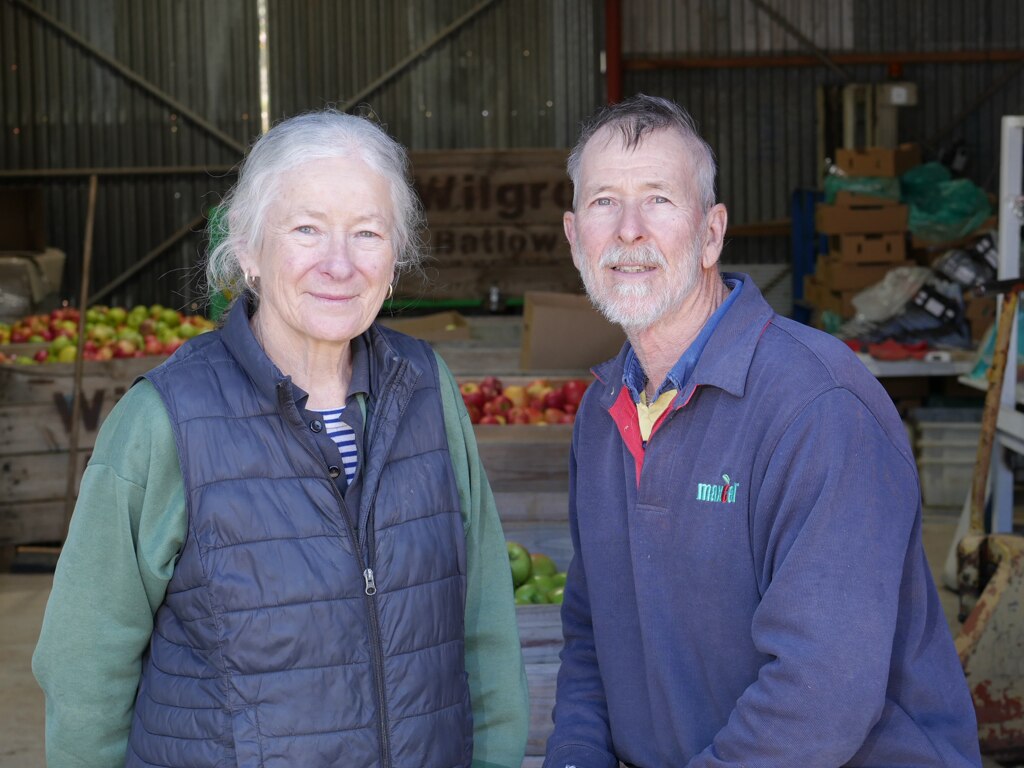 Batlow apple growers fireproofing their future, modernising orchards