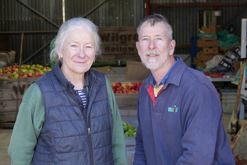 Judy and Ralph Wilson inside an apple packing shed.