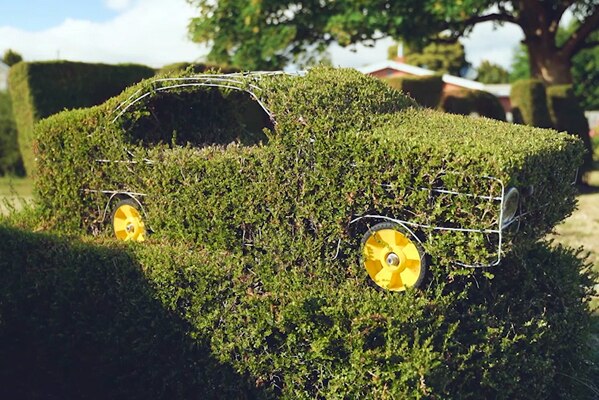 Topiary Car Image