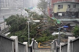 Damaged trees lie on the road as typhoon Soudelor hits Taipei