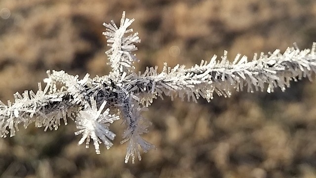 Barbed wire covered in ice