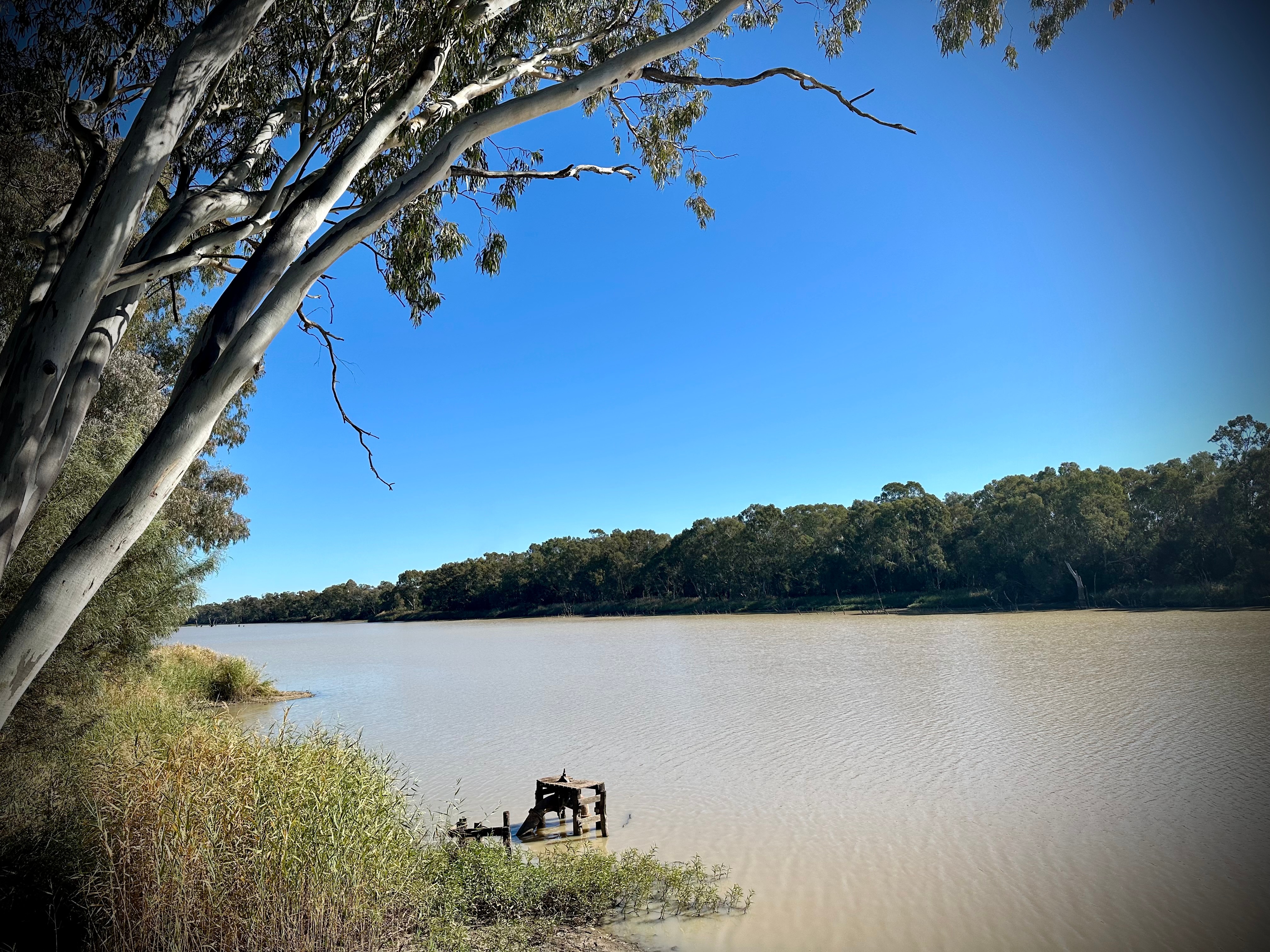 Queensland man charged with murder after man dies following river incident