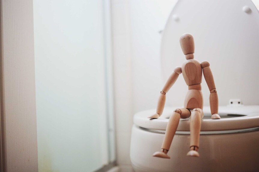 A wooden doll is perched on the edge of a white toilet seat.