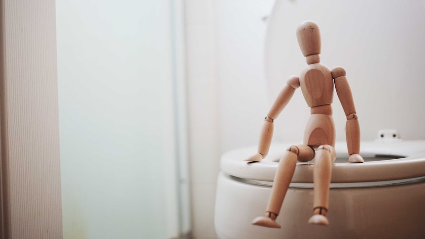 A wooden doll is perched on the edge of a white toilet seat.