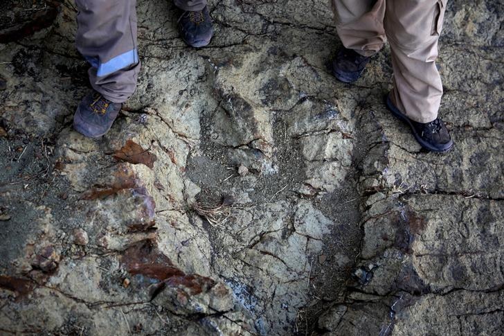 Two people standing about a dinosaur footprint.
