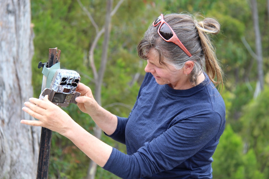 A woman installs a camera on a metal stake.