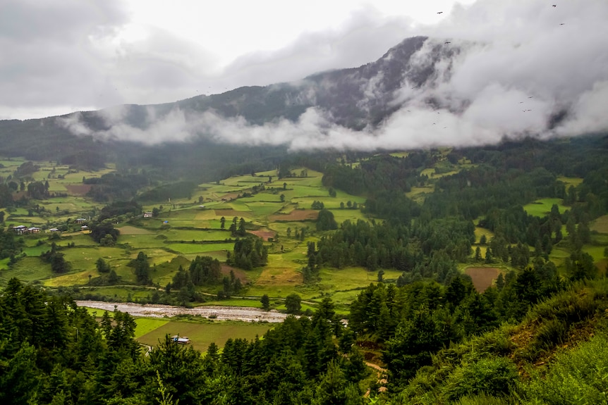 Green farmland with a mountain in the background, shrouded in cloud.