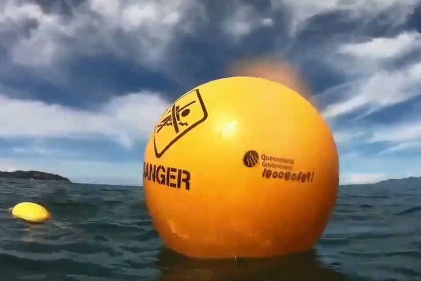 A buoy for a shark drum line in the Great Barrier Reef