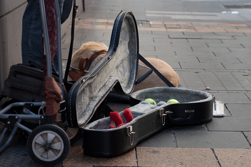 Steel mesh placed across Mr Clarke's banjo case.