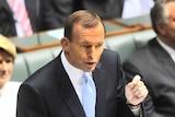 Tony Abbott has attacked Wayne Swan's federal budget and the Government's carbon tax.
