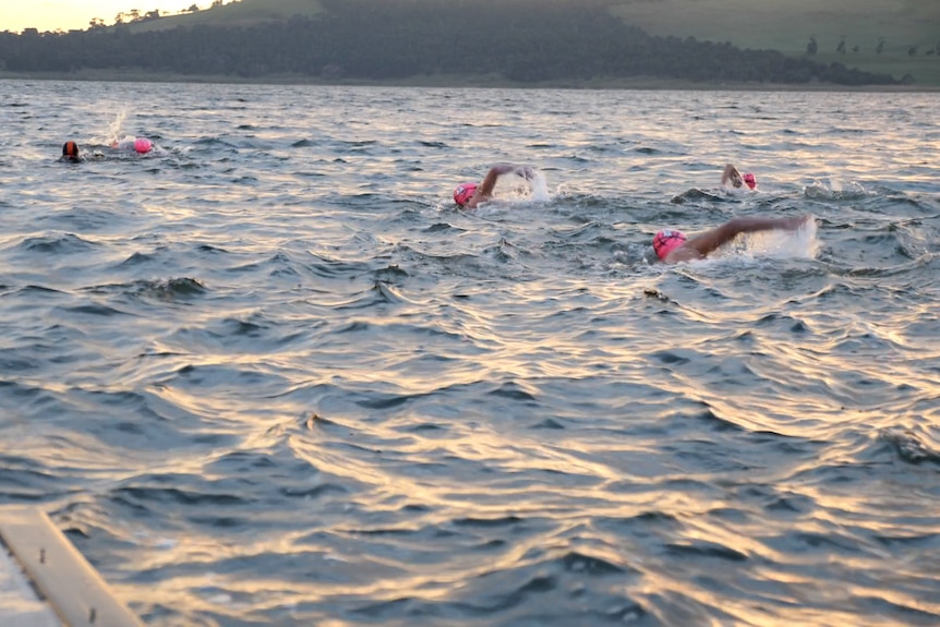 Small group of swimmers in lake water with early morning light