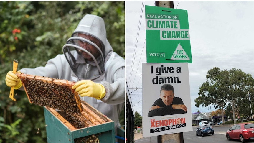 A composite image of a beekeeper, and roadside election corflutes