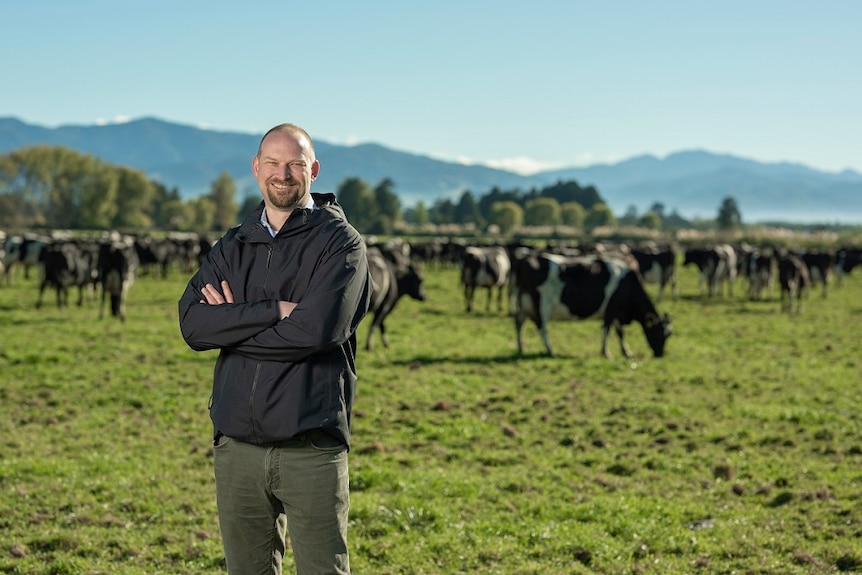 A man standing in a paddock with several cows.