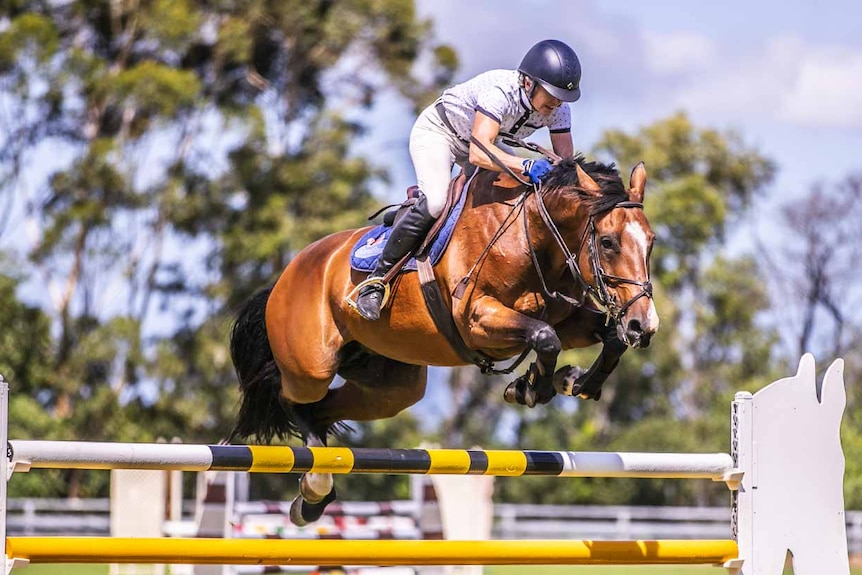 A woman on a horse going over a jump.