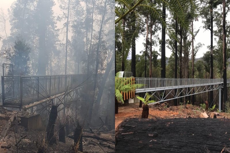 Burnt Tahune airwalk picture next to rebuilt airwalk picture