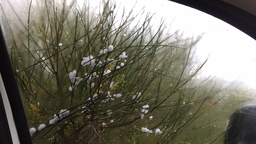 Hail storms hit dry areas of WA