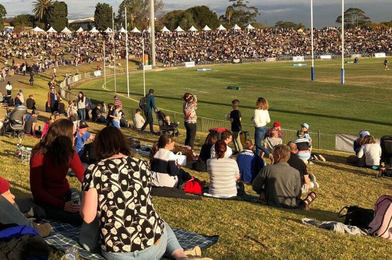 The Henson Park crowd at a Newtown Jets match