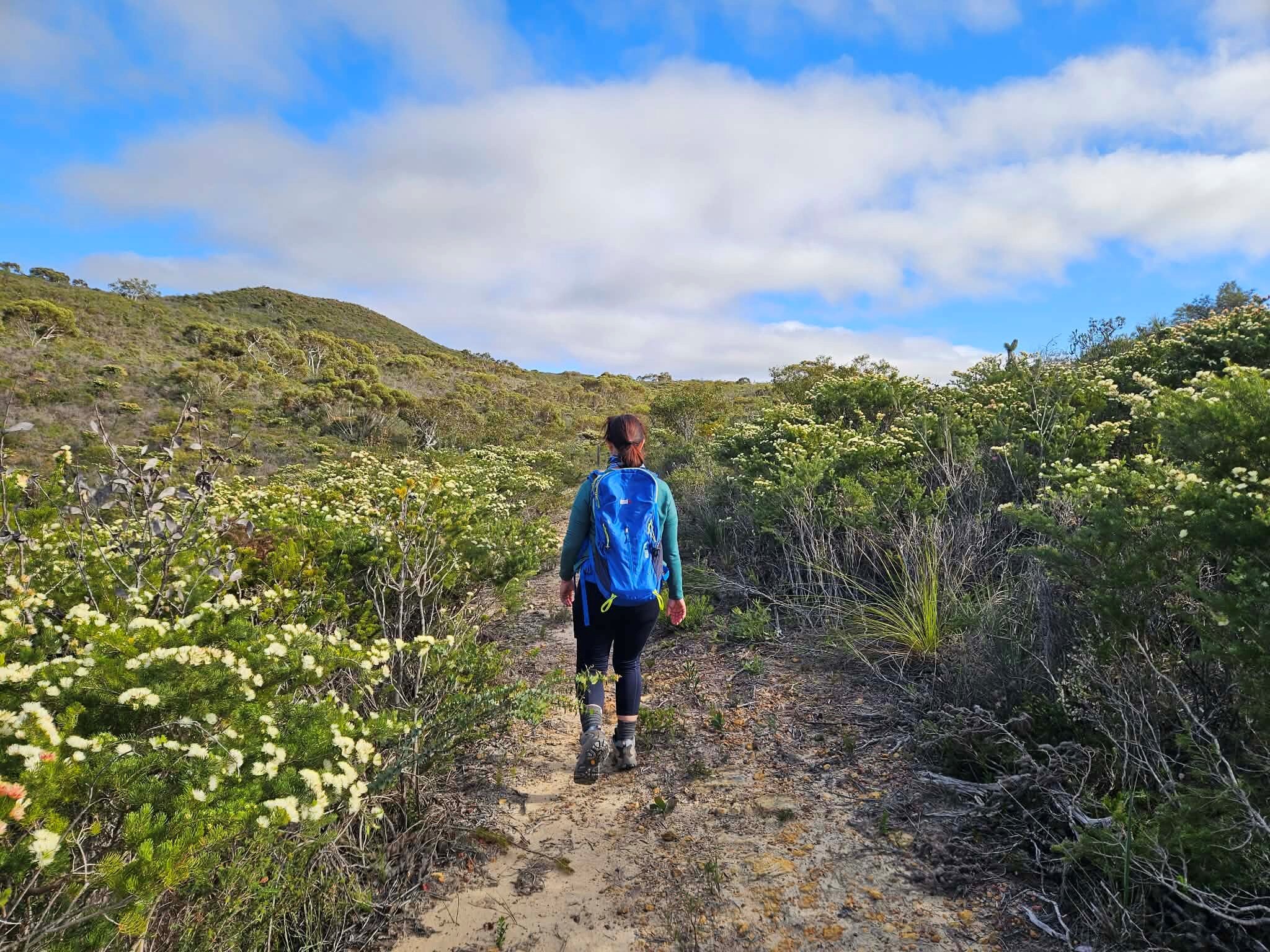 Woman walks with backpack on track with bushy shrubs either side
