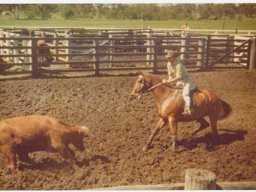 Fraser Ramsey riding a horse in the cattle camp.