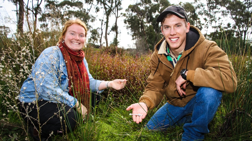 Second year La Trobe University Outdoor Education students Mark Eacott and Maeve Nunan with their 1964 bird band discovery.