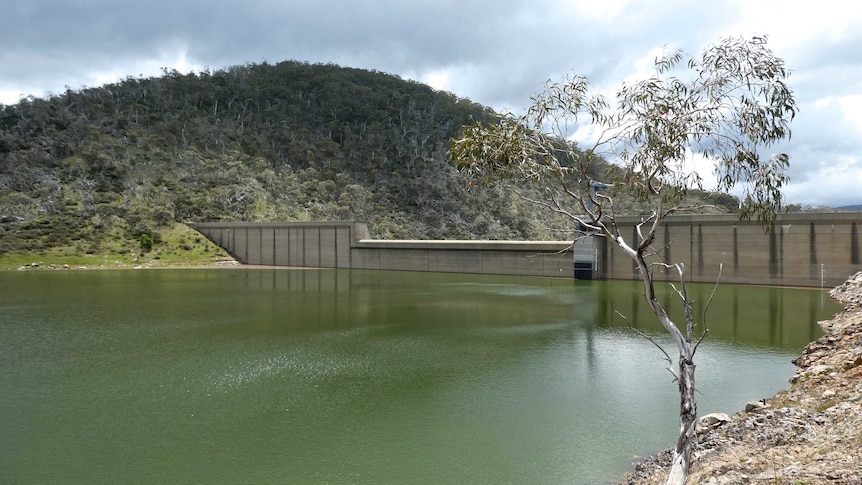 A dam with a tree in the Snowy Mountains