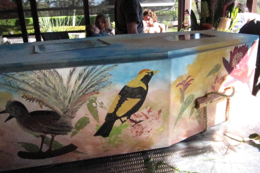 A cardboard coffin painted with a regent bower bird and lyrebird