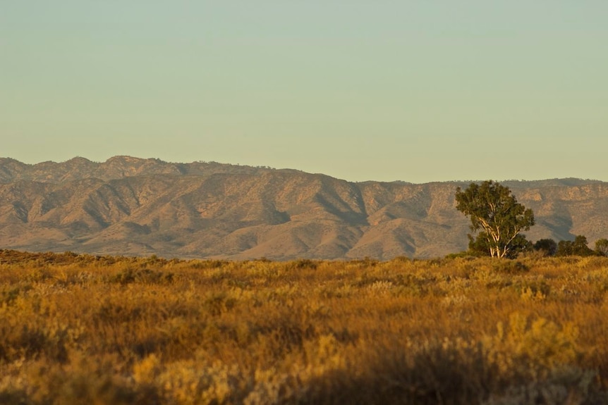 The Flinders Ranges and a bird hide