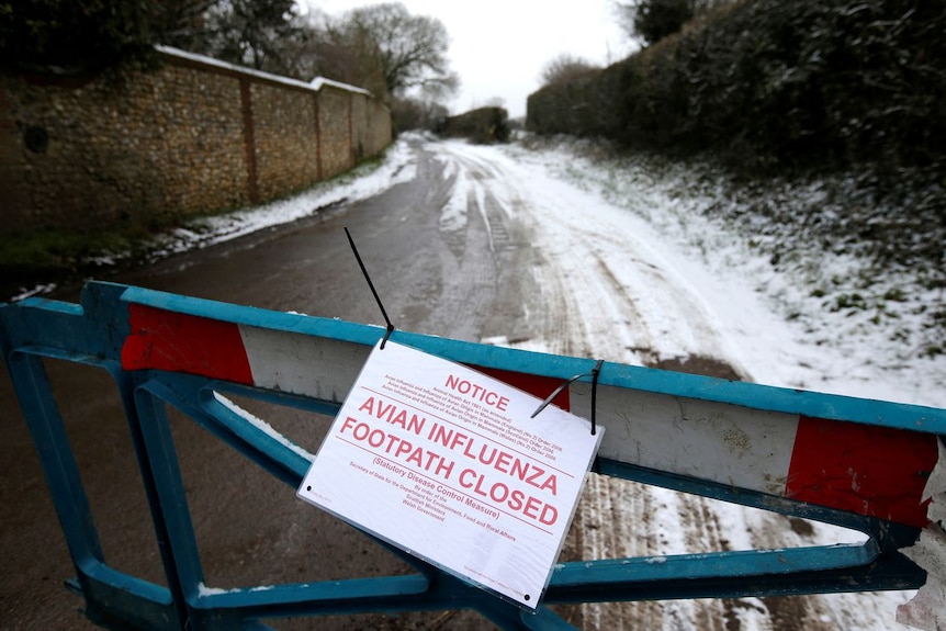 A closed road leading to a chicken farm is seen after an outbreak of bird flu in a village