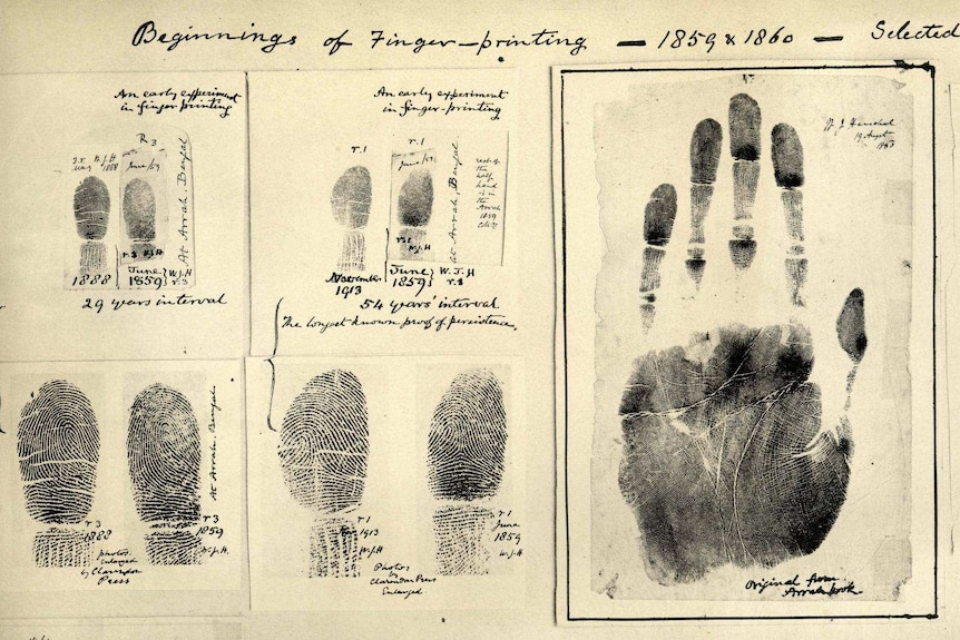 A yellowed piece of paper upon which various finger and hand prints samples are stuck.