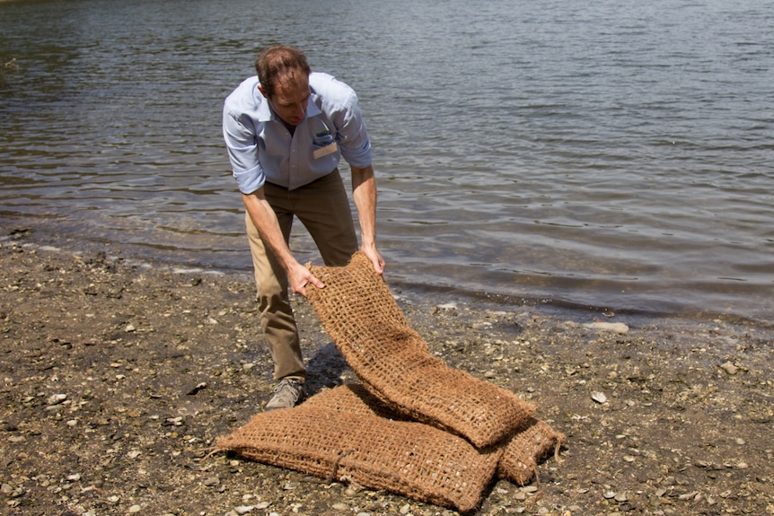 Andy Meyers arranges the oyster filled fibre bags