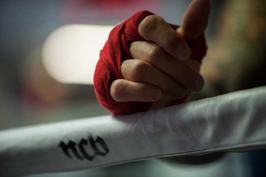 A close up of red boxing gloves in a boxing ring.