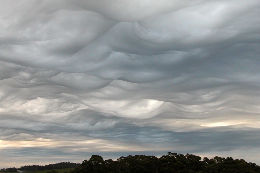 Grey undulating clouds above a tree-lined hill.