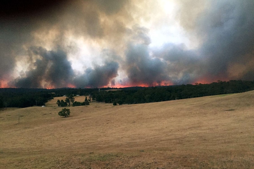 Photo showing bushfire on top of a ridge line in the distance, about to burn towards Charlie's property.