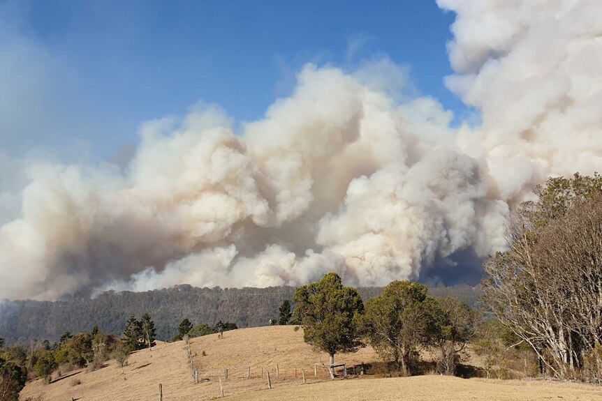 A bushfire south of Canungra approaching Lamington National Park on Friday, September 6, 2019.