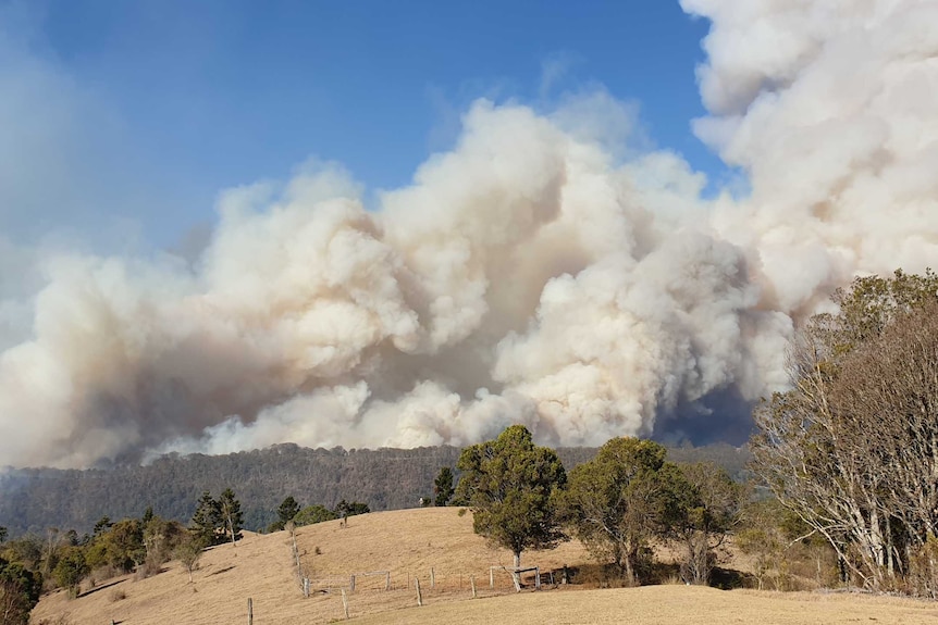 A bushfire south of Canungra approaching Lamington National Park on Friday, September 6, 2019.