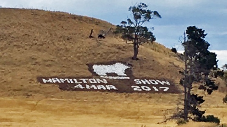 Sign made of rocks on hill