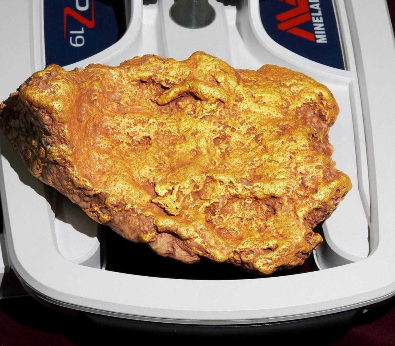 A large gold nugget sits on a plastic scoop.