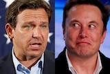 A composite image of Ron DeSantis and Elon Musk 