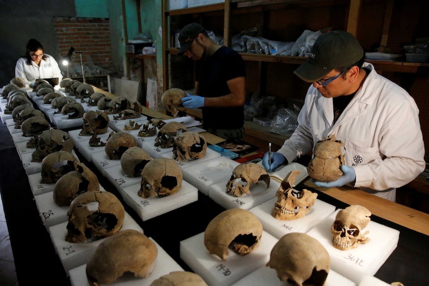Archaeologists examine rows of the uncovered skulls.