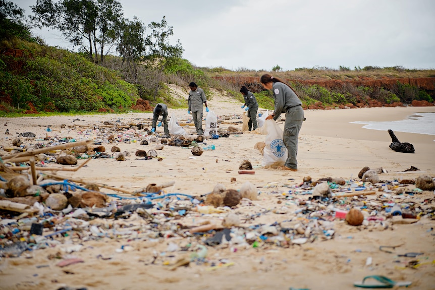 A group of four people cleaning up mounds of rubbish that has washed ashore on a remote beach.