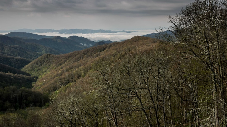 View of densely vegetated ridges and distant mountains with low clouds in valleys