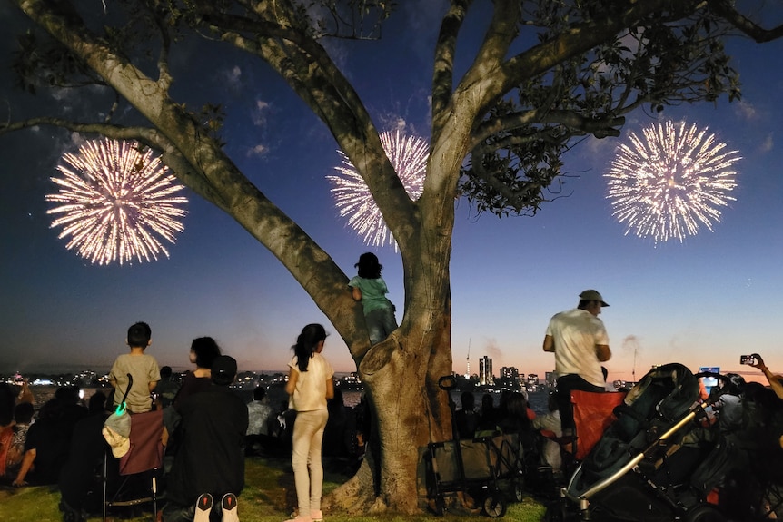 People stand next to a tree in Langley Park watching as gold fireworks explode in the night sky.