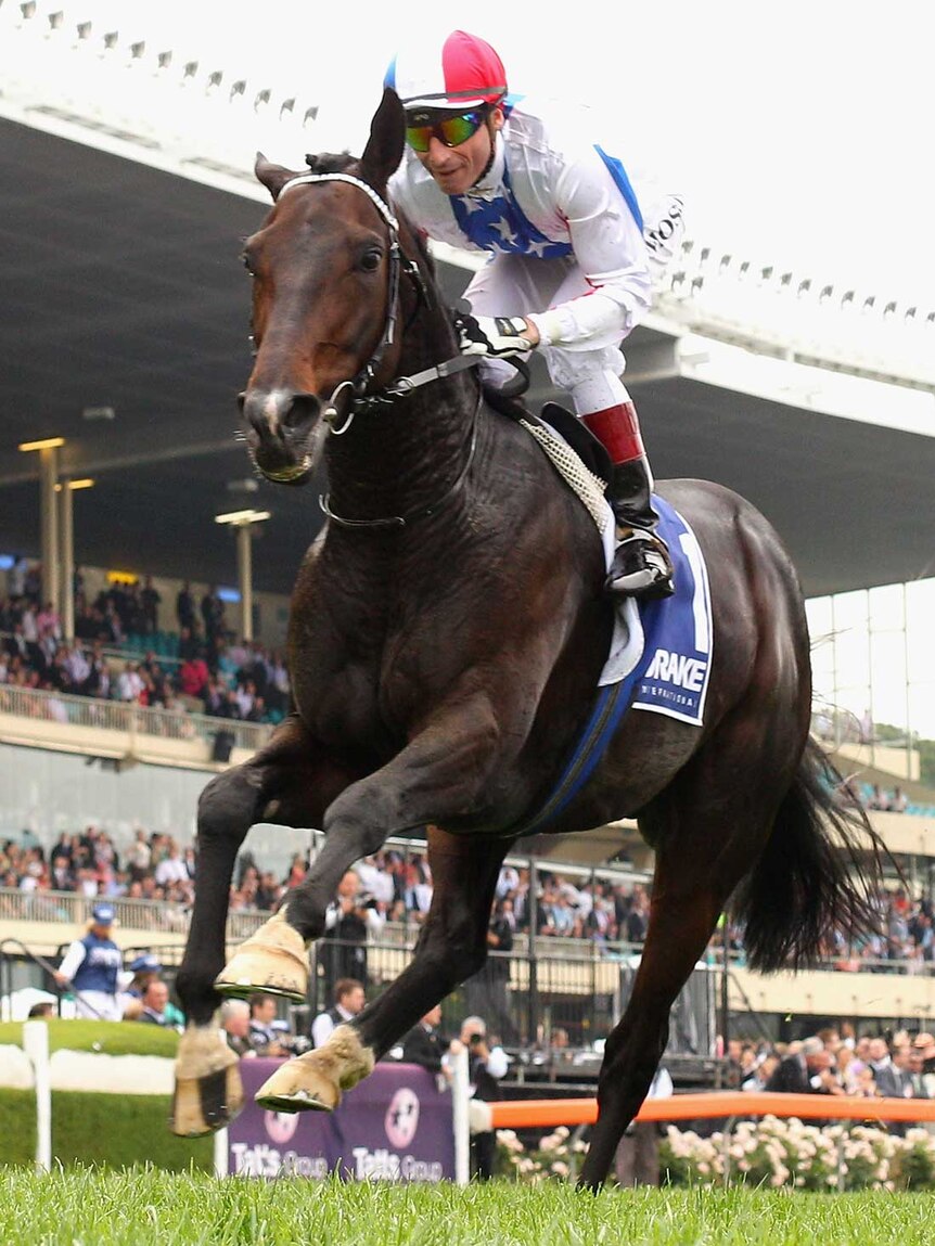 Americain, which won the Moonee Valley Cup on Cox Plate day, is favourite to defend its 2010 Melbourne Cup crown.