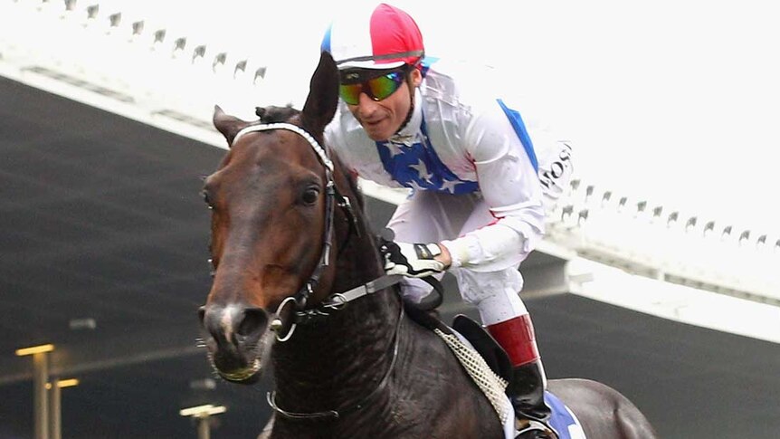 Americain wins the Moonee Valley Cup