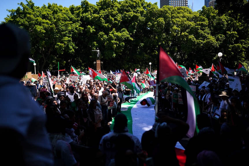 A crowd of people holding palestinian flags